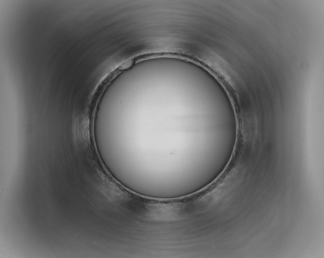 X0000112140781200908071055