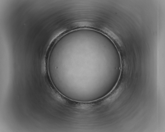 X0000112140782200908071055