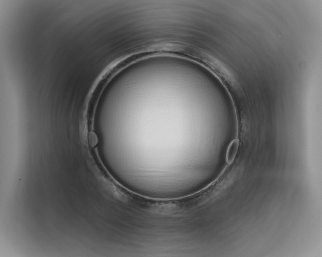 X0000112140784200908071055