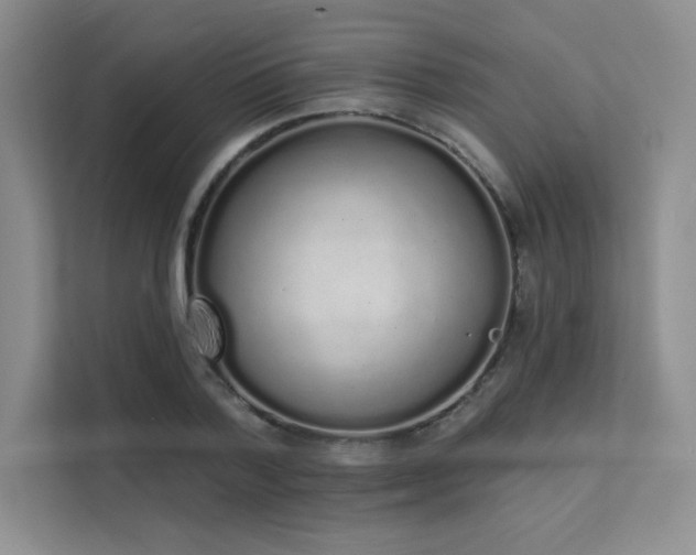 X0000112140788200908071055