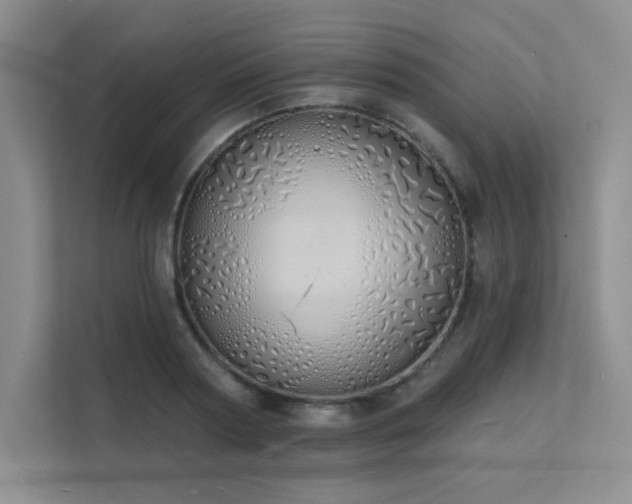 X0000112140794200908071055