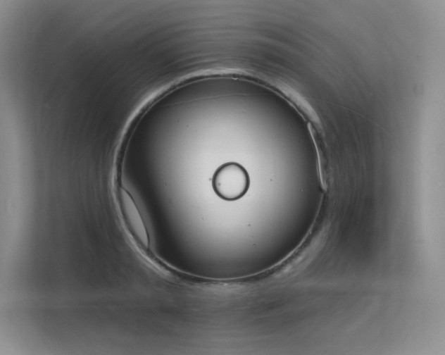 X0000112140797200908071055