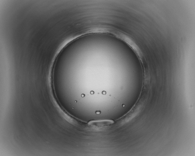X0000112140803200908071055