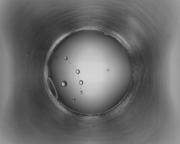 X0000112140804200908071055