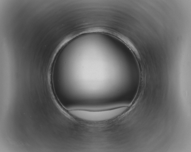 X0000112140805200908071055
