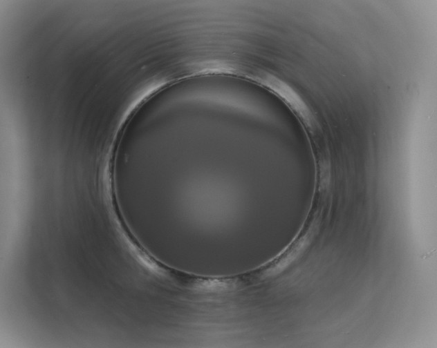 X0000112140806200908071054
