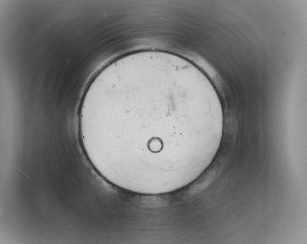 X0000112140807200908071054