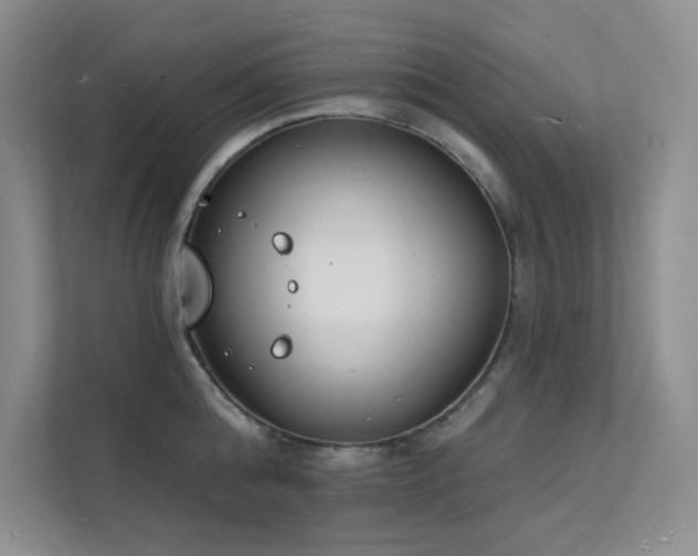 X0000112140808200908071054