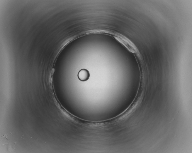 X0000112140809200908071054