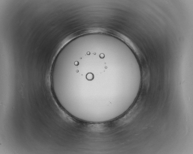 X0000112140810200908071054