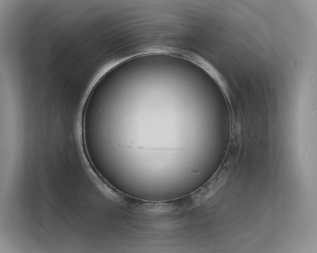 X0000112140811200908071054