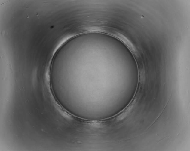 X0000112140814200908071054