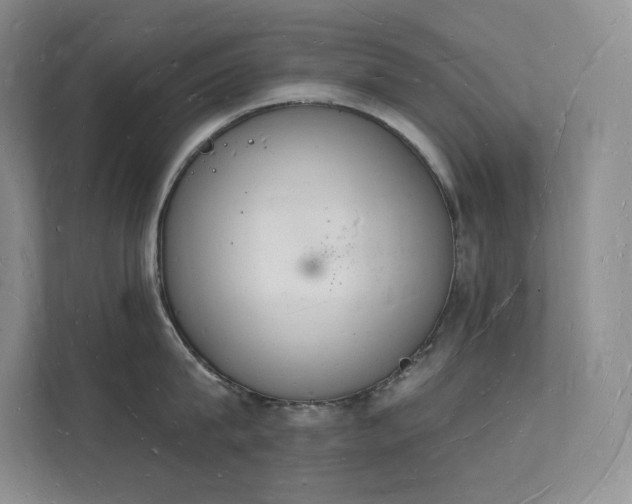 X0000112140815200908071054