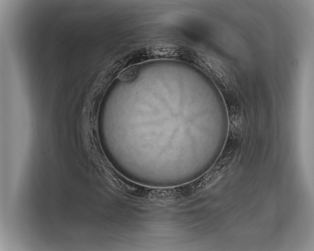 X0000112140817200908071054