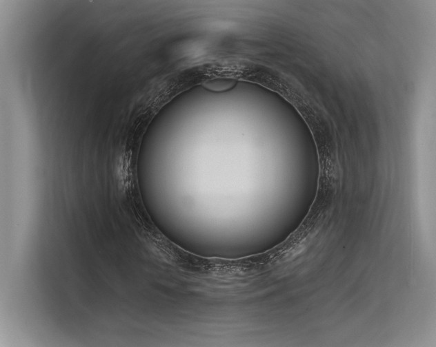X0000112140818200908071054