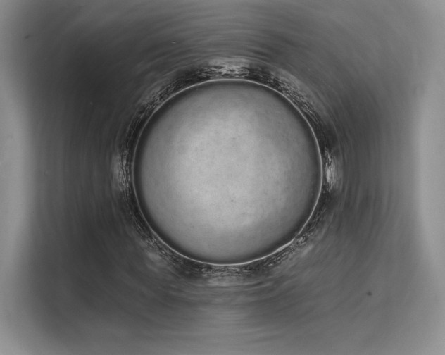 X0000112140819200908071054