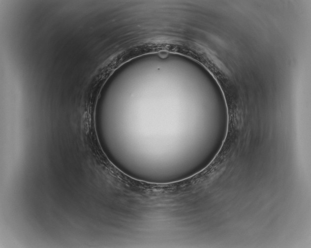 X0000112140821200908071054