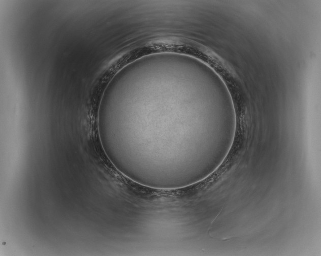 X0000112140822200908071054