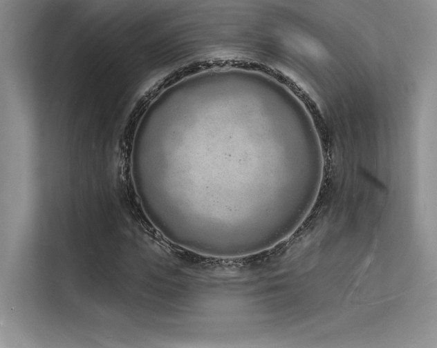 X0000112140823200908071054