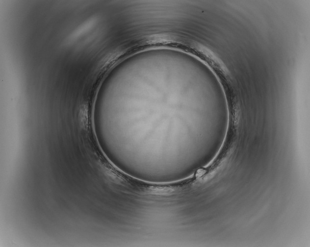 X0000112140825200908071054
