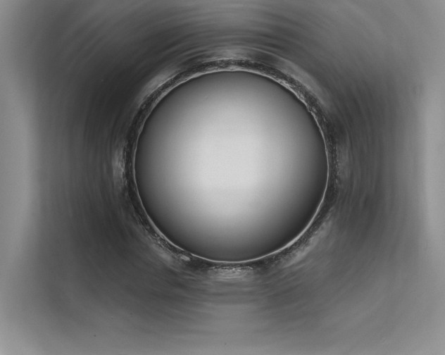 X0000112140826200908071054