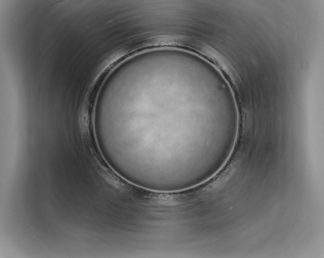 X0000112140827200908071054