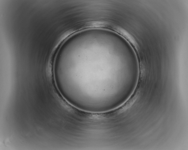 X0000112140835200908071054