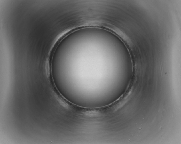 X0000112140838200908071054