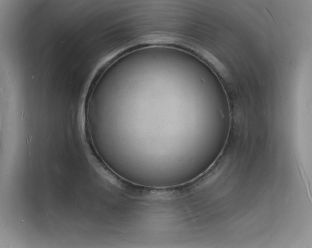 X0000112140840200908071054