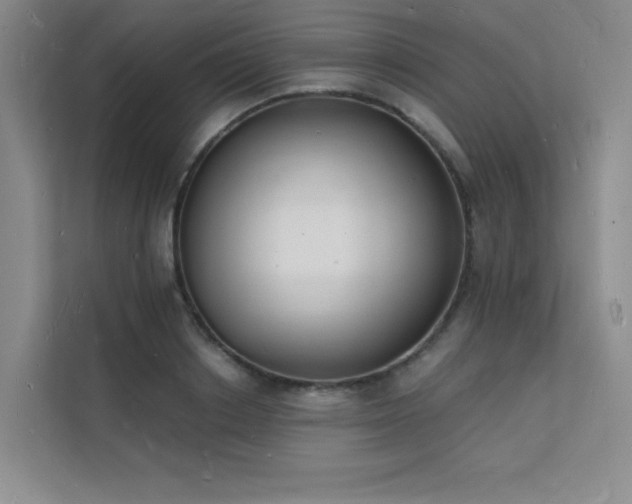 X0000112140842200908071054