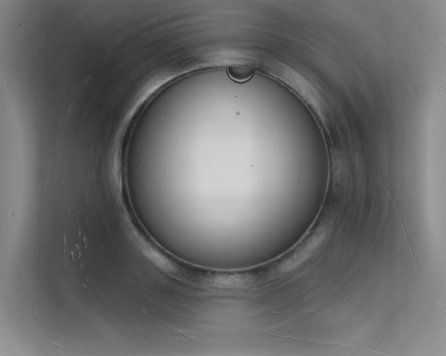X0000112140843200908071054