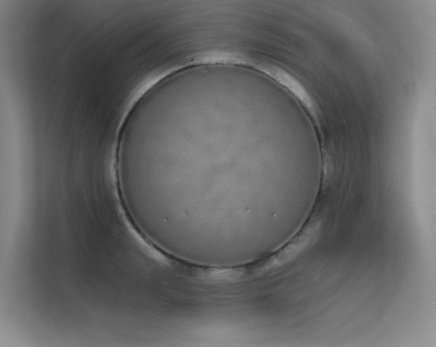 X0000112140847200908071054