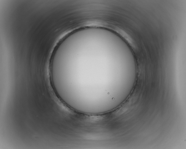 X0000112140848200908071054