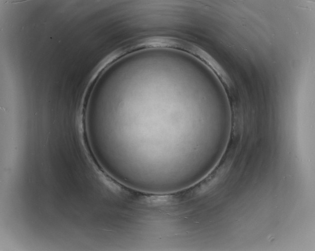 X0000112140853200908071054