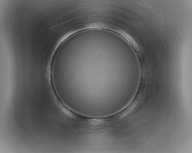 X0000112140854200908071054