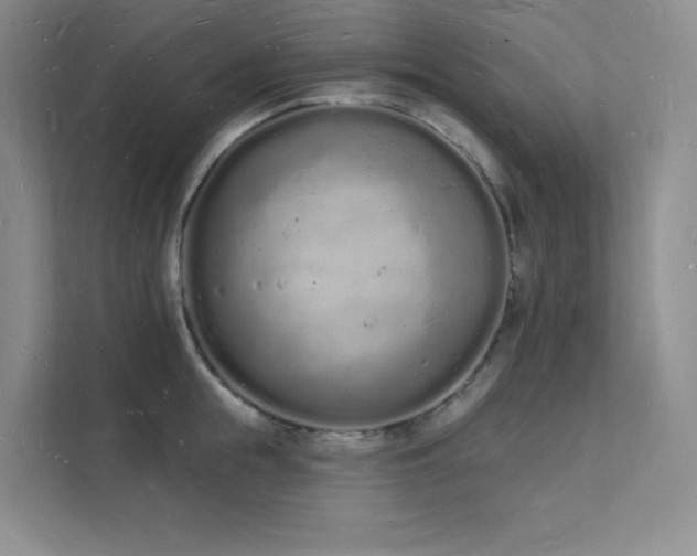 X0000112140855200908071054