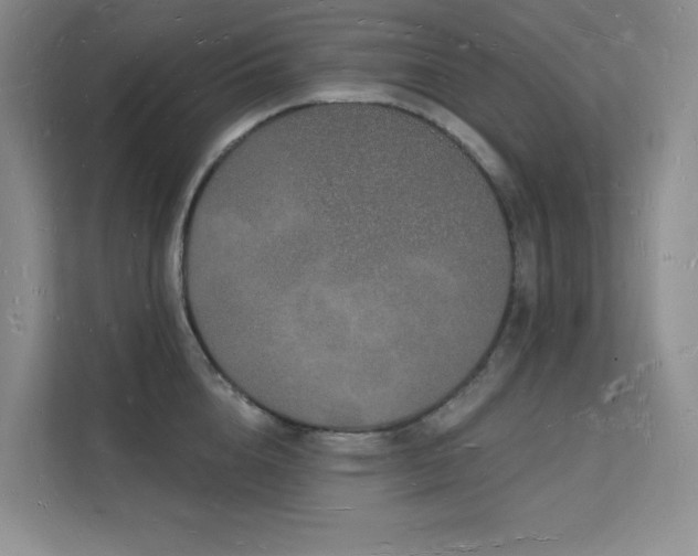 X0000112140856200908071054