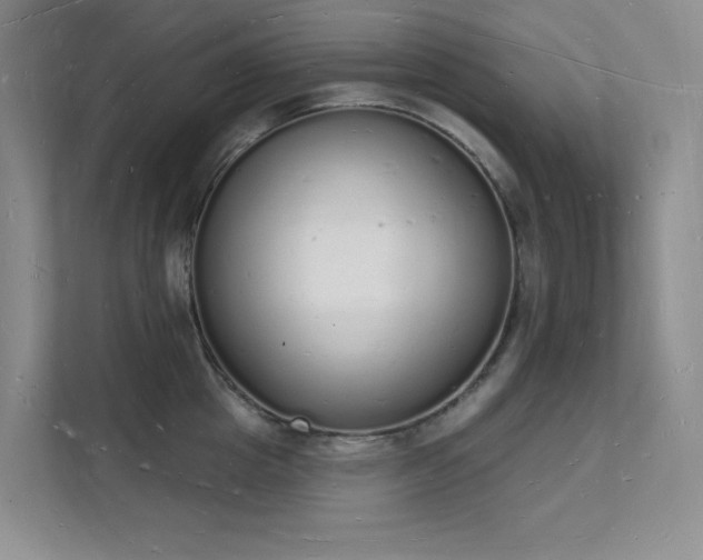 X0000112140857200908071054
