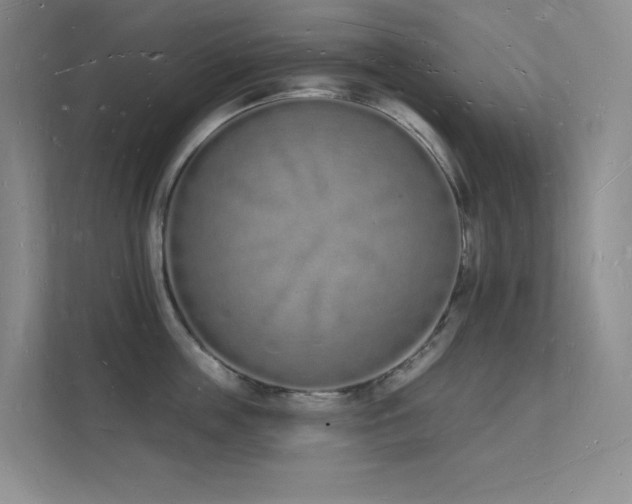 X0000112140859200908071054
