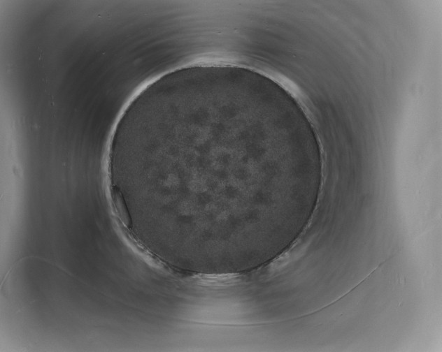 X0000112140864200908071054