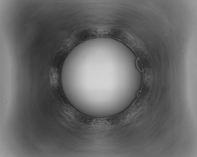 X0000112140866200908071054