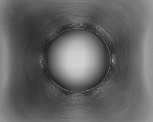 X0000112140867200908071054