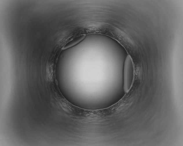 X0000112140868200908071054
