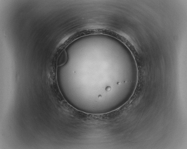 X0000112140871200908071054