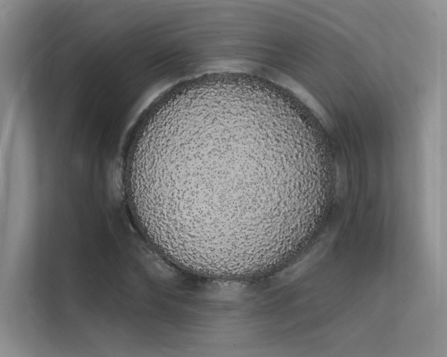 X0000112140878200908071054