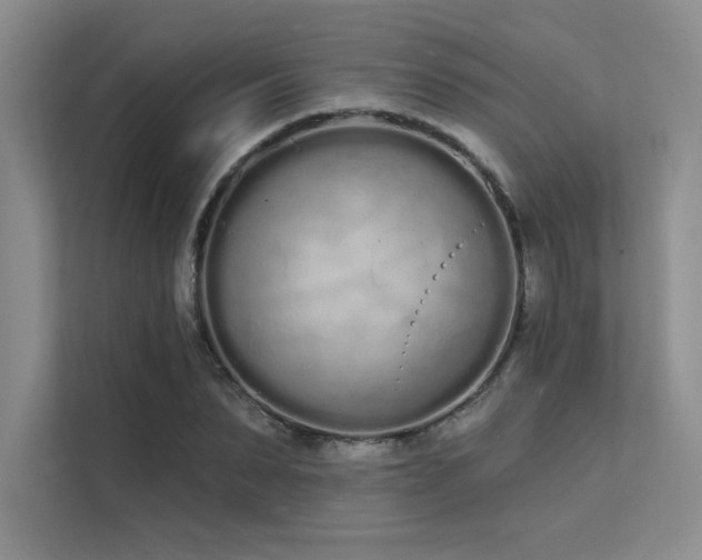 X0000112140879200908071054