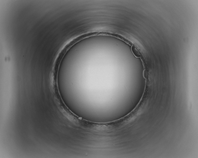 X0000112140880200908071054