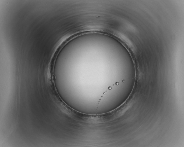 X0000112140883200908071053