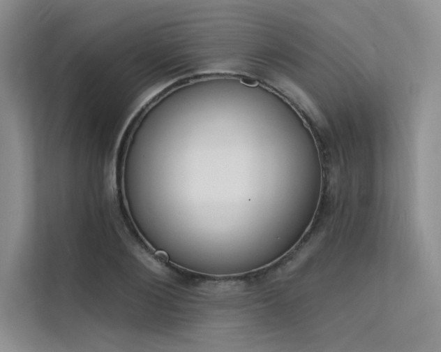 X0000112140884200908071053