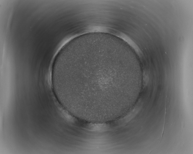 X0000112140886200908071053